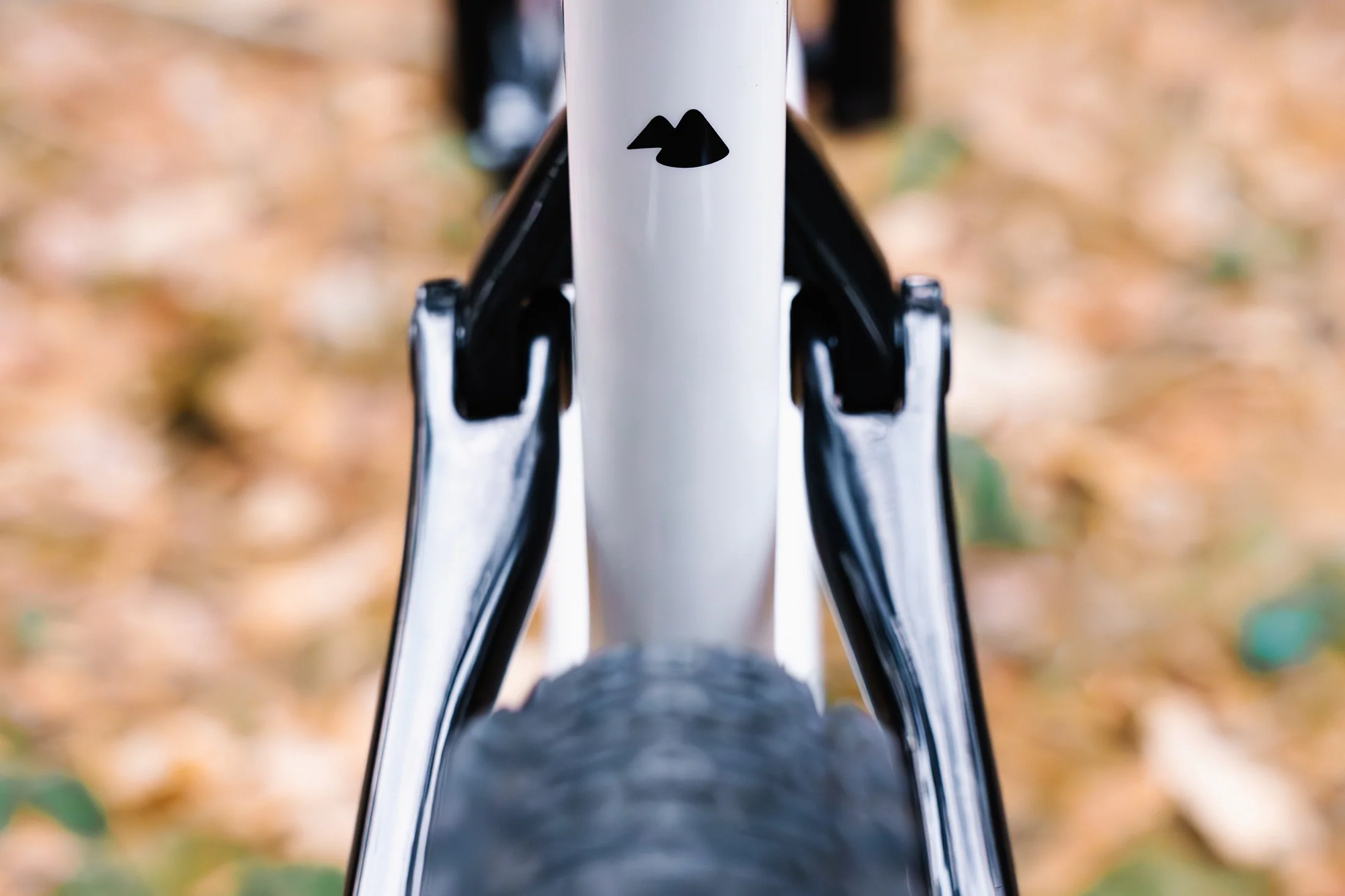 Kenta - Image 14